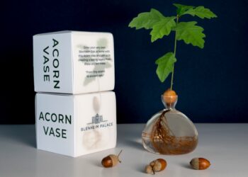 Blenheim Palace and Ilex Studio Unite to Offer ‘Grow Your Own Piece of History’ Acorn Vase
