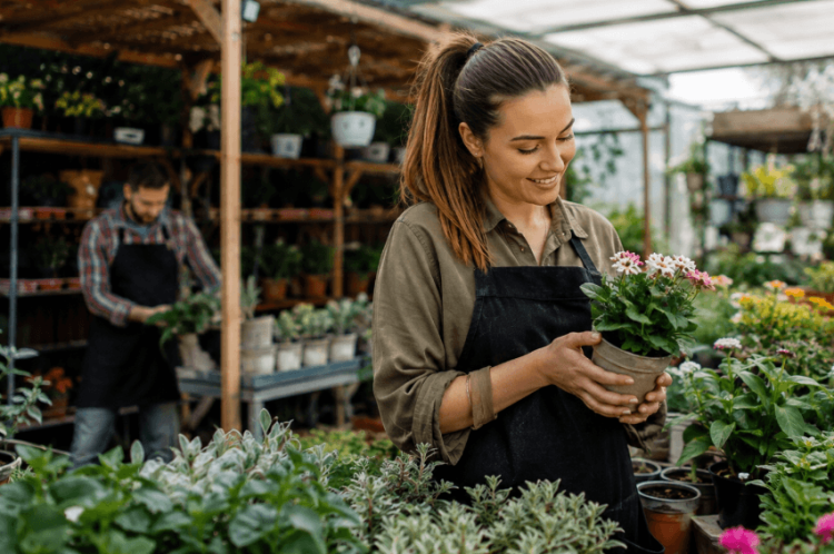 UK Garden Retailers Urged to Drive Year-Round Growth Beyond the Spring Gardening Season UK Garden Retailers Urged to Drive Year-Round Growth Beyond the Spring Gardening Season