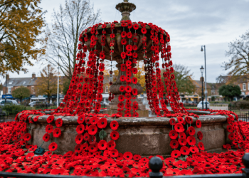 Cheshunt Community Creates 5,000-Poppy Remembrance Display at Old Pond