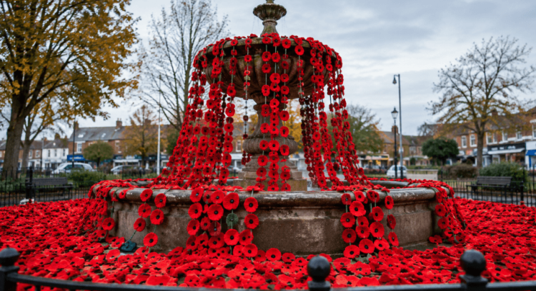 Cheshunt Community Creates 5,000-Poppy Remembrance Display at Old Pond Cheshunt Community Creates 5,000-Poppy Remembrance Display at Old Pond