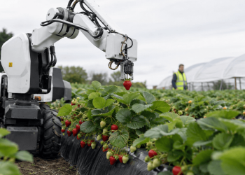 UK Government Announces £40m Investment in Eight Robotics Hubs to Accelerate Automation