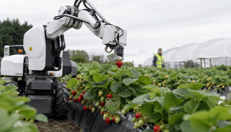 UK Government Announces £40m Investment in Eight Robotics Hubs to Accelerate Automation UK Government Announces £40m Investment in Eight Robotics Hubs to Accelerate Automation